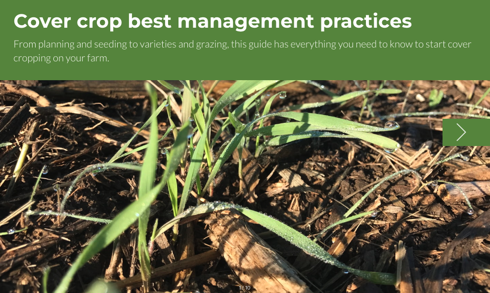Cover crop best management practices